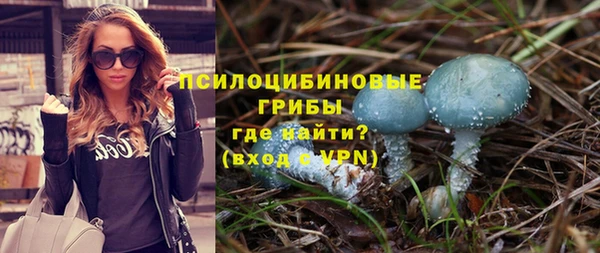 прущая мука Алзамай
