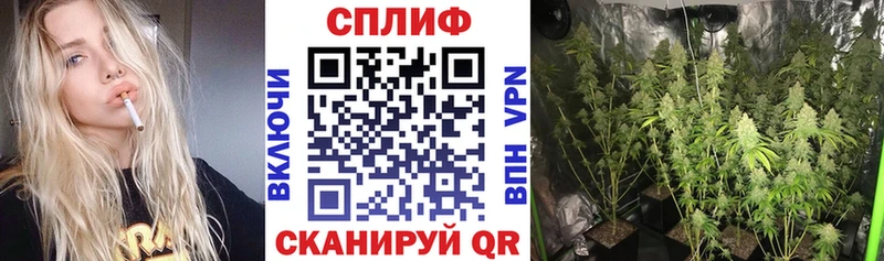 купить   Сосновоборск  дарк нет как зайти  Бошки марихуана VHQ 